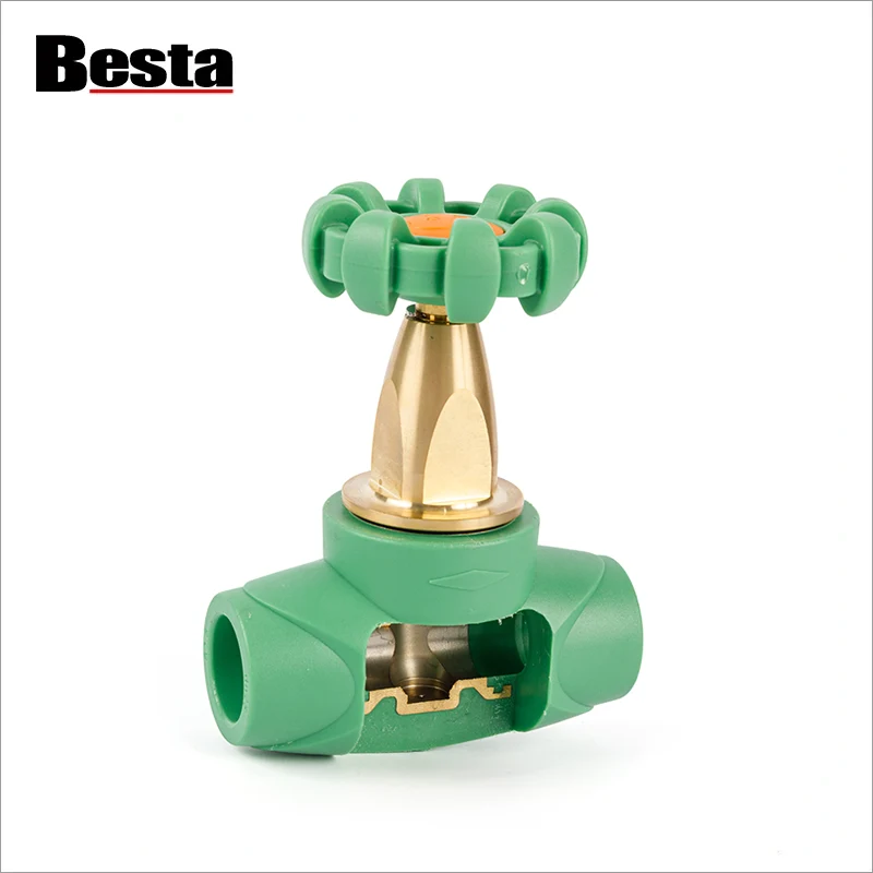 What Makes the PPR Luxurious Gate Valve Stand Out?